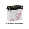 Batterie YUASA 12N24-3A conventionnelle